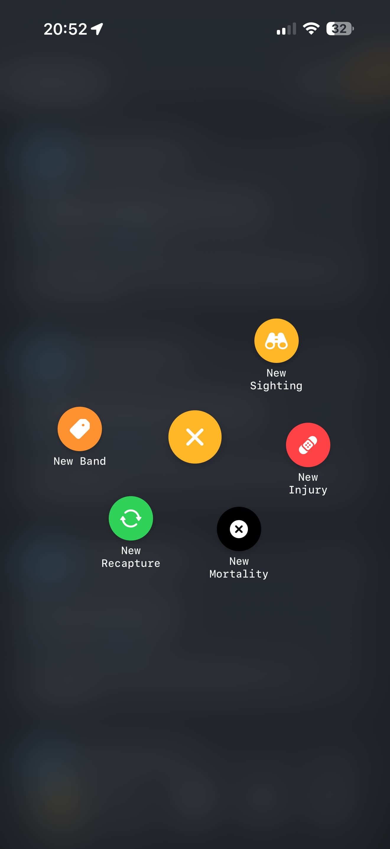 Kilo app functionality