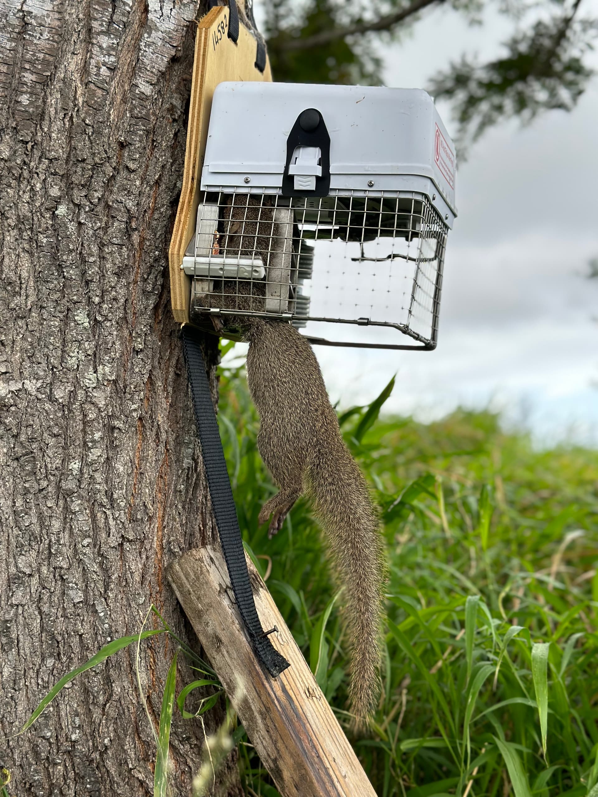 Field monitoring setup