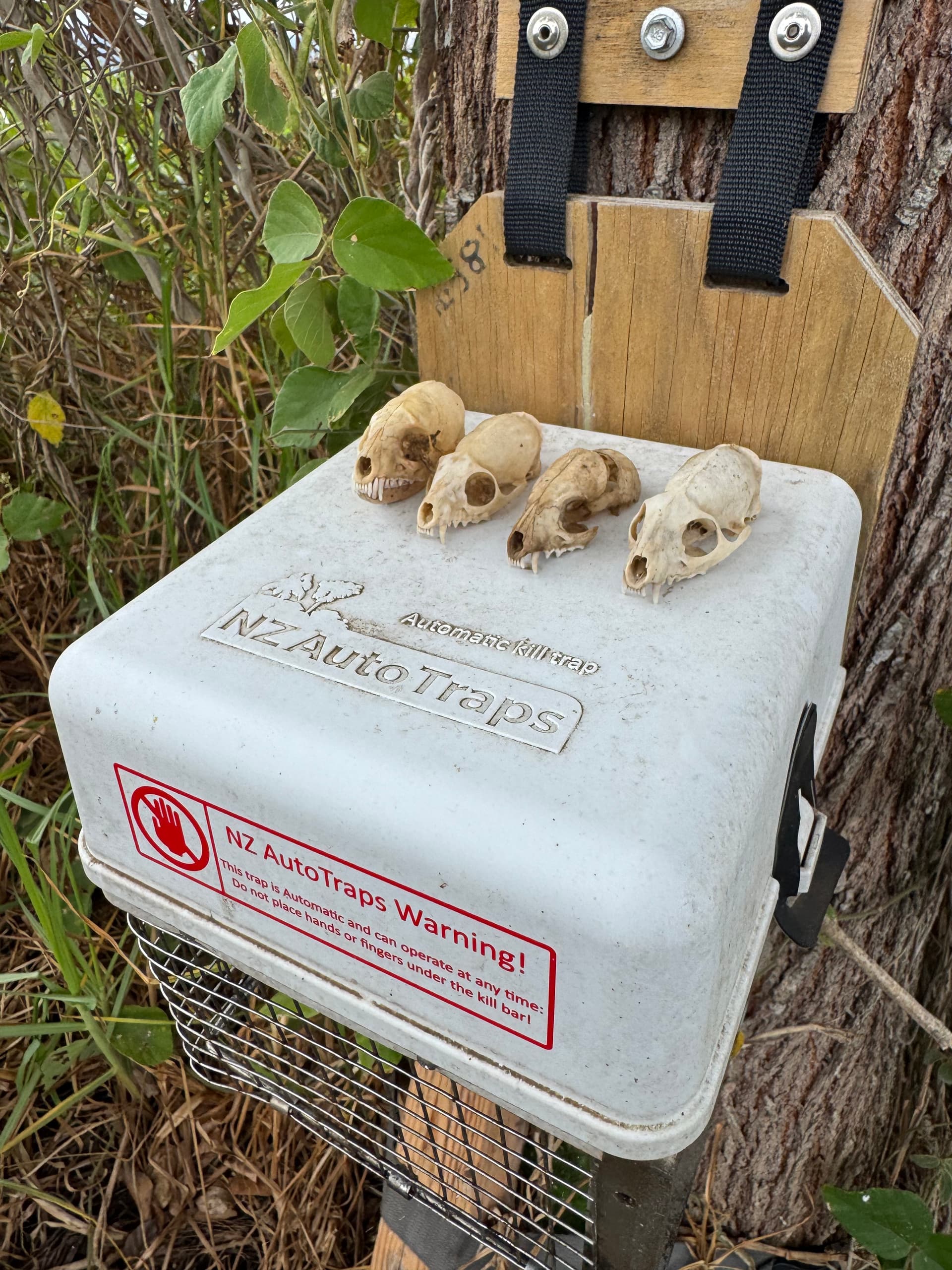 Trap deployment in the field