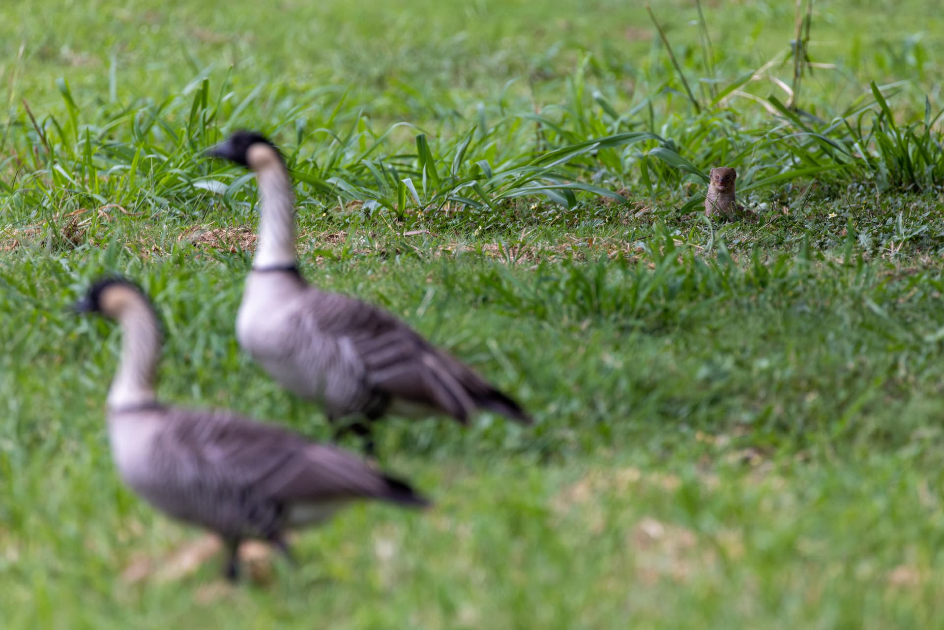 Monitoring equipment installation
